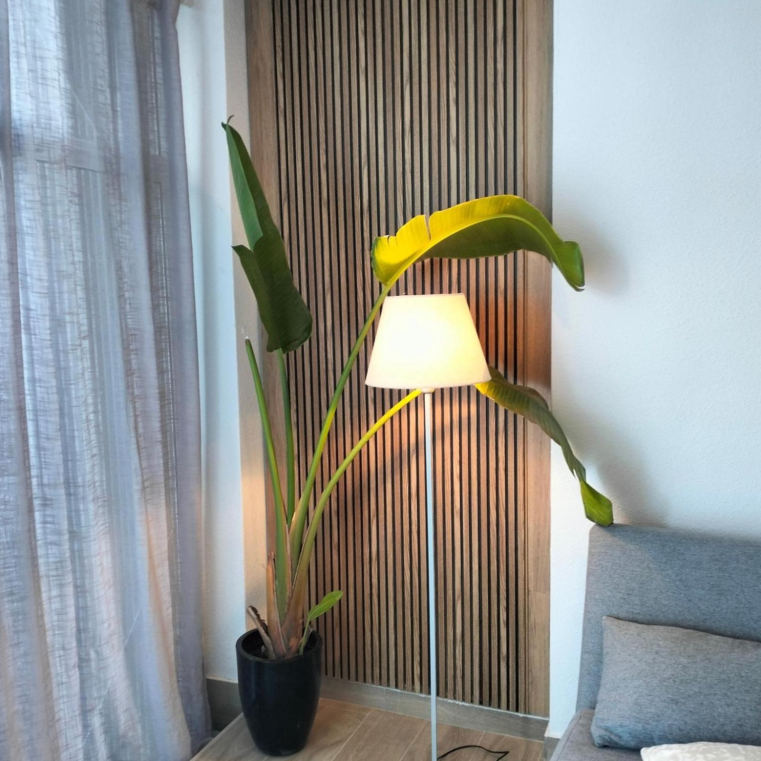 Natural Home تورّيفيِخا المظهر الخارجي الصورة